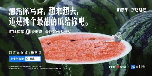 娱乐吃瓜文案去哪里找,吃瓜群众必看的幕后故事